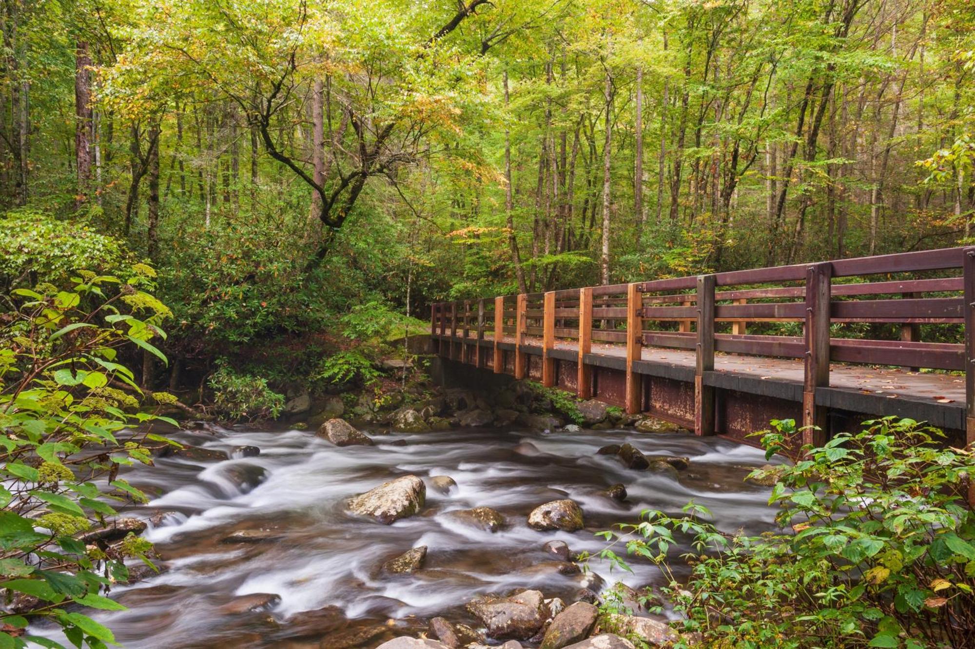 Magical Moments, Hot Tub, Wifi, 1089 Free Tickets Each Paid Day, Dollywood And More Гатлінбург Екстер'єр фото